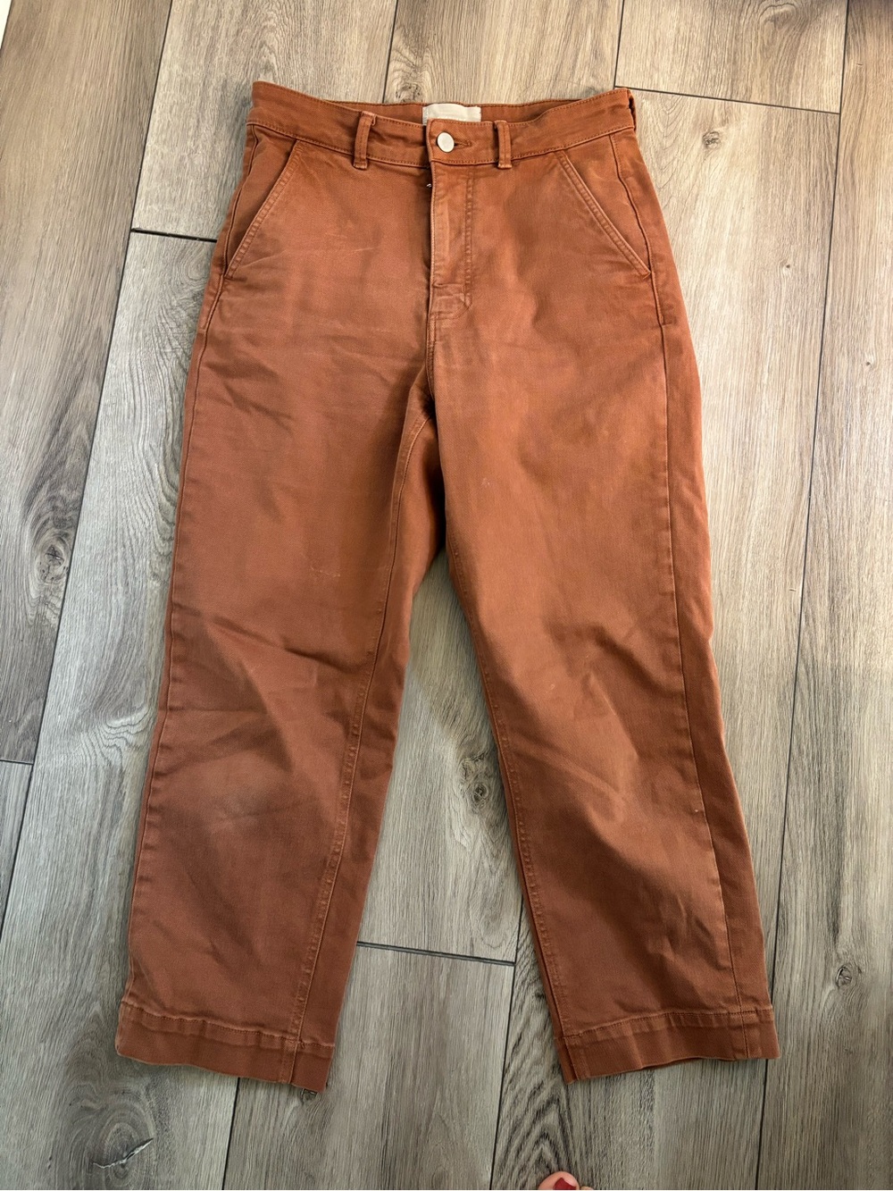 Everlane Women's Cropped Straight-Leg Pants in Rust